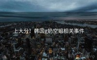 上大分！韩国g奶空姐相关事件