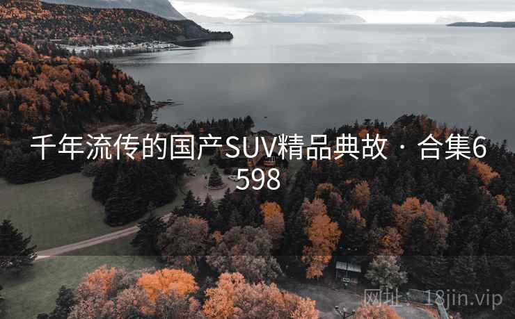 千年流传的国产SUV精品典故 · 合集6598 千年流传的国产SUV精品典故 · 合集6598